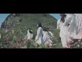 Download Lagu 櫻坂46 『Nobody's fault』