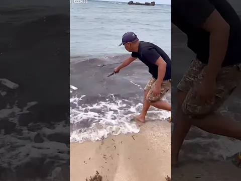 #bts