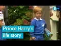 Prince Harry s life story
