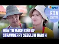 Lagu FTV SCTV Shanice Margaretha \u0026 Hardi Fadhillah - How To Make King of Strawberry Sebelum Hari H