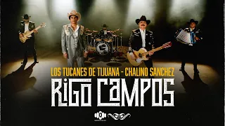 rigo campos los tucanes de tijuana chalino sanchez video oficial 