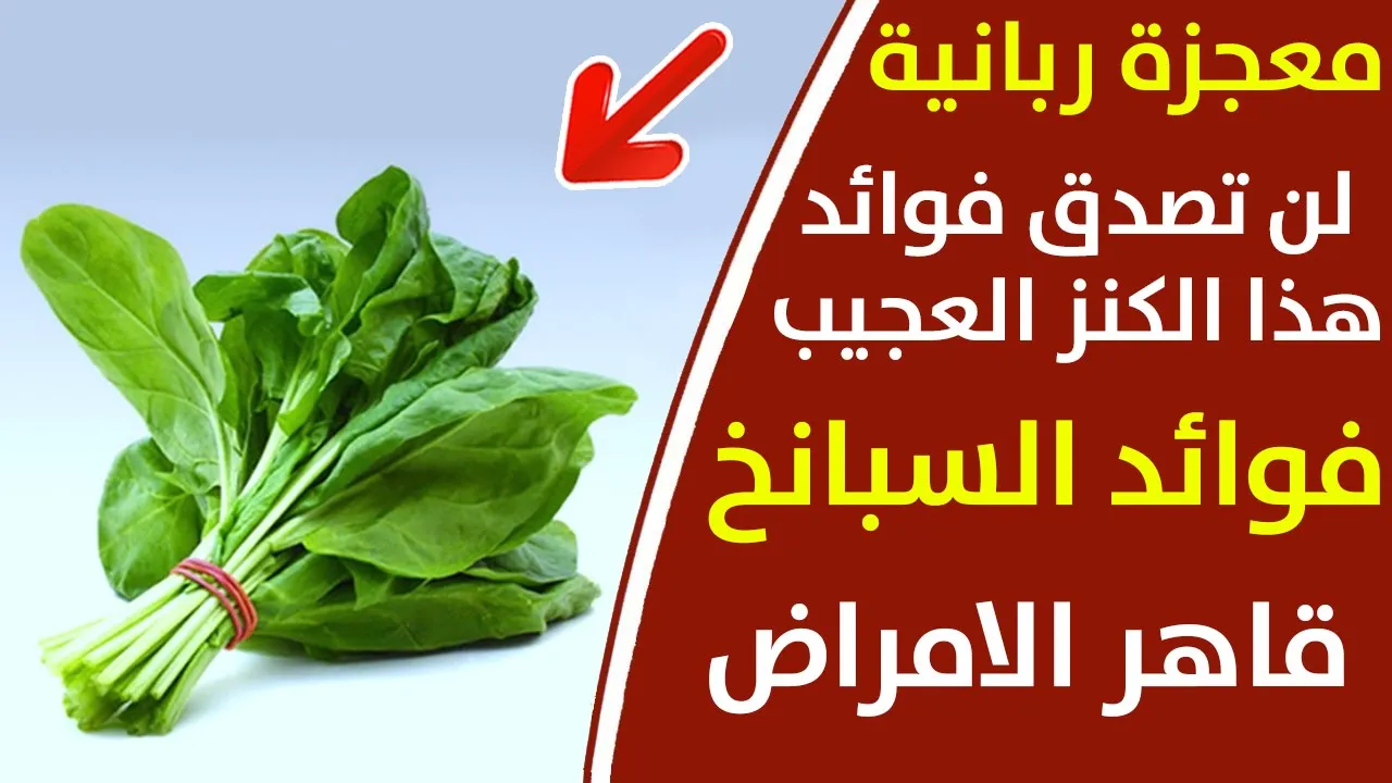 النبتة الجبارة السبانخ يجهلها كثير من الناس،فوائدها الكثيرة لصحة الجسم وتقوية المناعة ضد الامراض