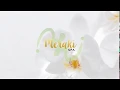MERAKI SPA