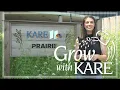 KARE 11 front yard prairie update