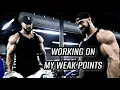 FULL BACK WORKOUT EXPLAINED HOW TO BE BIG