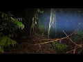 Download Lagu Asli Merinding‼️Jelajah Keangkeran Hutan RANCA D4RAHH Purwakarta Tempat Pemb4nt1an