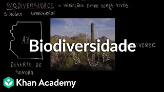 Biodiversidade