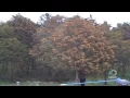 Massive Tree Pollen Explosion Explained