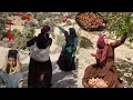 Download Lagu Soheila's dangerous search in the wild mountains to find her son, who was kidnapped by a kidnapper