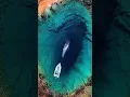 Download Lagu Largest Blue Whale on Earth the best Sound in the Entire World💙|| Ijju_mariym
