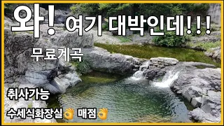 *계곡차박*물맑은 대박계곡!!!#노지캠핑 #무료노지추천 #무료차박지 #강변노지캠핑 #화장실있는차박지 #옥계계곡차박 #대구근교 #카라반 #캠핑카 #스텔스차박캠핑 #경북노지차박 썸네일