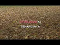 Download Lagu DEMI CINTA ANANG \u0026 KRISDAYANTI Indonesian Malay Karaoke
