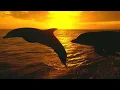 groove armada - at the river