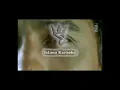 Download Lagu (Karaoke) Iwan Fals - Tangan Kosong