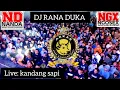 Download Lagu NANDA AUDIO ‼️ NGX NGOSEX AUDIO ‼️ DJ RANA DUKA Vt crn ‼️ dusun kandang sapi