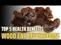 Five Incredible Benefits of Wood Ear Mushrooms