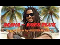 Lagu DIANA – KOES PLUS | Reggae Cover by AURORAMUSIC-AI