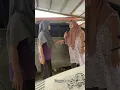 Download Lagu Perselingkuhan yang tak diharapkan