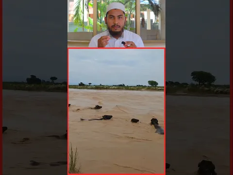 Allah Ki Kudrat Dekho 😱