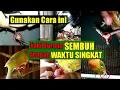 Download Lagu CARA MENGOBATI KAKI BENGKAK PADA BURUNG ( DIJAMIN CEPAT SEMBUH ).