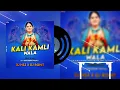 Download Lagu KALI KAMLI WALA DJ HS3  X DJ ROHIT USED 👉👉🎧🎧🎧