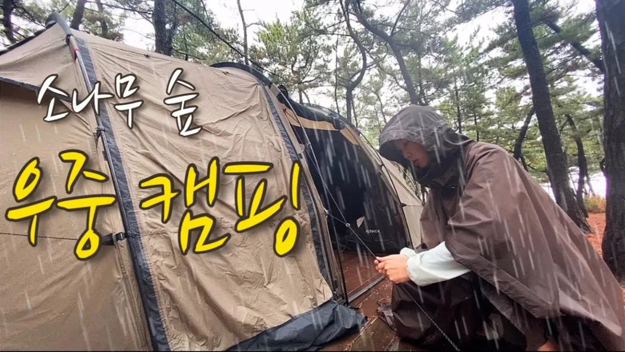 새 텐트 사자마자 또 비오네../미워도 우중캠핑/빗속에서 대형텐트 혼자 치기/빗소리 들으며 수육에 소주 한잔/강릉 바닷가 오토캠핑/코베아고스트플러스/캠핑장추천/연곡솔향기캠핑장 サムネイル