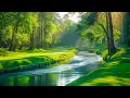Download Lagu Mūzika dziedē sirdi un asinsvadus, Nomierinoša mūzika atjauno nervu sistēmu, relaksē