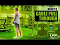How To Do A CABLE PULL THROUGH Exercise Demonstration and Guide