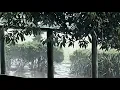 Nohidea. - You don't have to cry