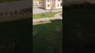 مشهد رائع أمام عمارة رقم 8 حي النور مدينة السادات الاعلان 10 و 14 و 16 