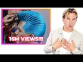 Hairdresser Reacts to Mind Blowing Color Cut Transformations