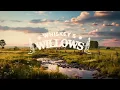 zach bryan - from austin (lyrics)
