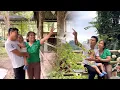 Download Lagu Hùngs terugkeer: een familievakantie of het einde van de hoop voor Hoài Ca en Tony #lyhoaica
