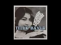 Download Lagu Ernie Djohan - Teluk Bayur Lirik