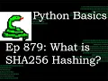 Python Basics Tutorial What is SHA256 Hashing Blockchain