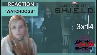marvels agents of shield 3x14