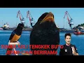 Download Lagu TENGKEK BUTO GACOR DURASI PANJANG DAN DIJAMIN JERNIH SUARA ASLI Yang Gampang masuk ke burung