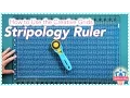 How to Use the Creative Grids Stripology Ruler Easy Quilting Tutorial with Kimberly Jolly
