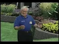 Menards Landscaping Commercial 1999