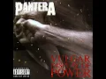 Pantera - Regular People (lyric video)