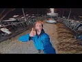 Download Lagu BulkieBulkie op de Boerderij!! 🧑‍🌾