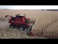 Drago Corn Head Demo
