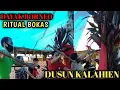 Download Lagu TRADISI BOKAS ADAT DAYAK||PARARAPAK DUSUN SELATAN KABUPATEN BARITO SELATAN