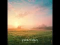 painted skies