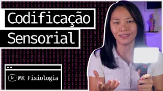 CODIFICAÇÃO SENSORIAL: MODALIDADE, LOCALIZAÇÃO, INTENSIDADE E DURAÇÃO DOS ESTÍMULOS | MK Fisiologia