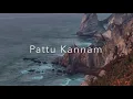 Download Lagu Pattu Kannam - Kakki Sattai - LP - 192khz 24 bit