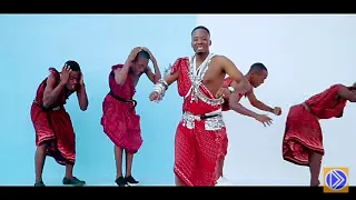 gospel sebene by daudi mwanisenga mkono wa mungu official video 4k 2026