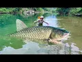 Traditional fishing skills - Girl catches giant fish with a hook in mysterious river