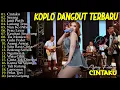 Download Lagu AJENG FEBRIA - CINTAKU, SAYANG, LANANG TENAN - FULL ALBUM KOPLO DANGDUT TERBARU 2025