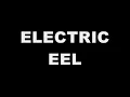 MGMT - Electric Feel Lyrics